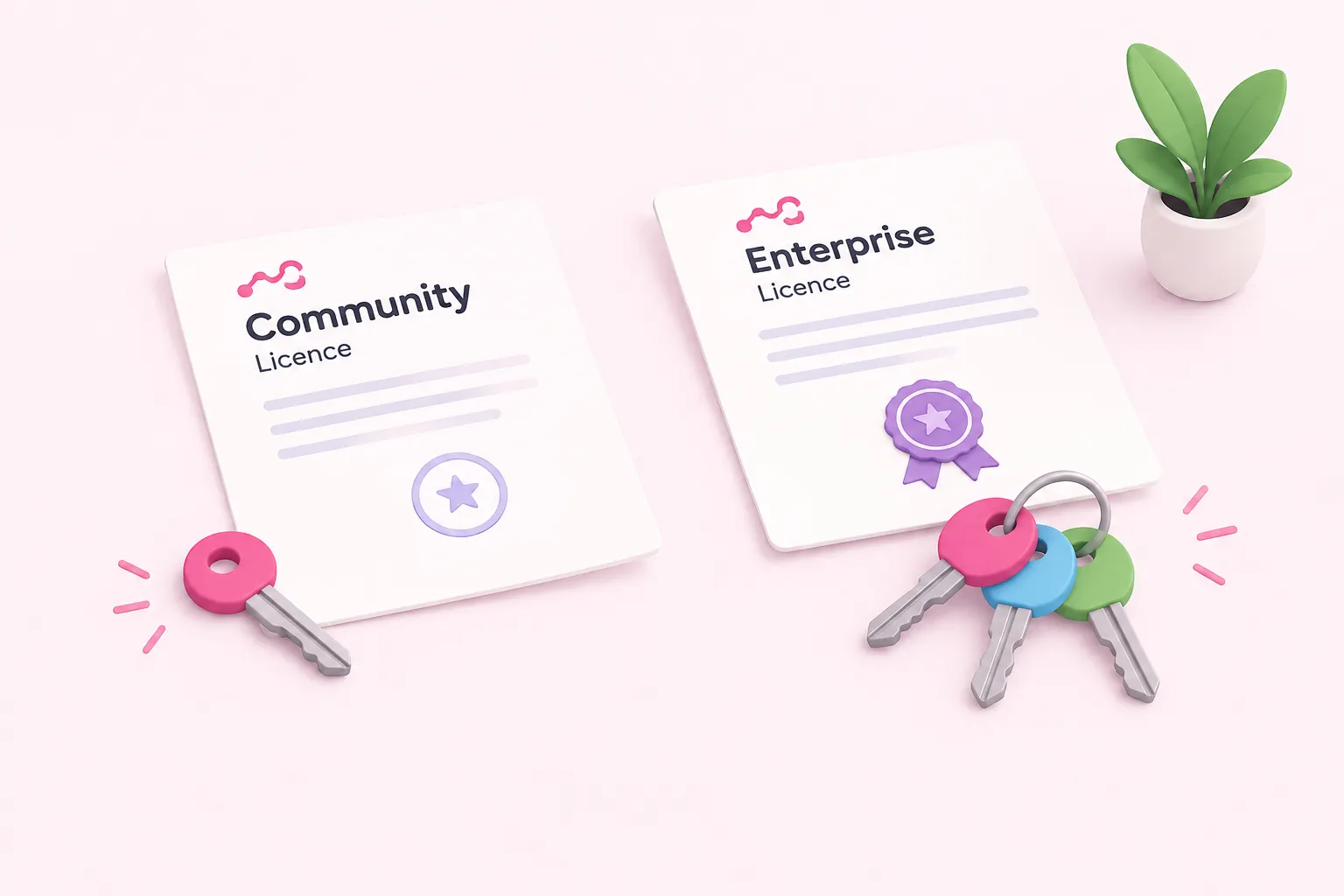 Two stamped licence documents compare Community and Enterprise n8n editions and their access rules.